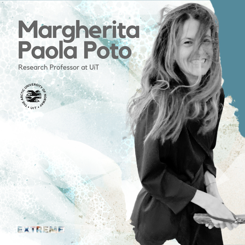 Blue and White modern tech meet the team instagram post-2.png